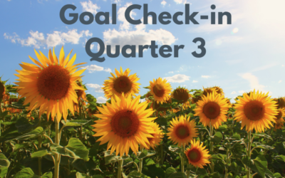 2023 Q3 Goal Check-in