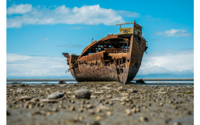 What if it doesn’t work out? Bold career moves